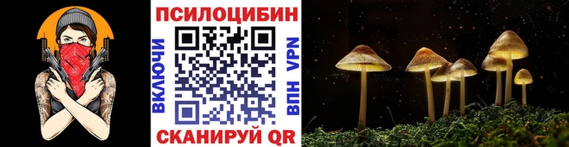 Псилоцибиновые грибы GOLDEN TEACHER Олёкминск